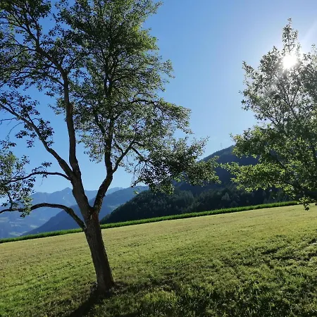 Haus Zur Muehle *