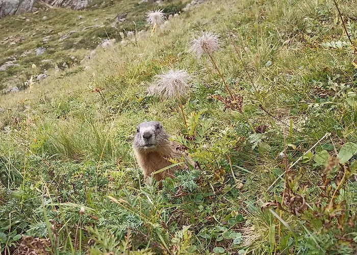 アパート Haus Zur Muehle *