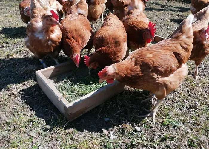 Haus Zur Muehle アパート *