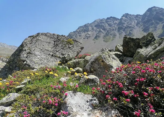 Haus Zur Muehle リート・イム・オーバーインタール