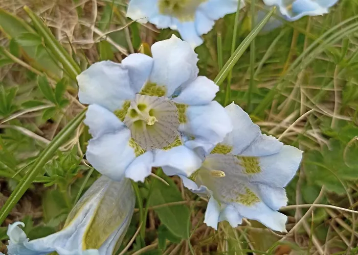 Haus Zur Muehle * リート・イム・オーバーインタール