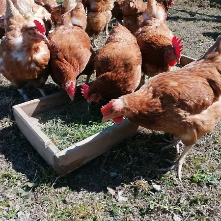 Haus Zur Muehle Daire *