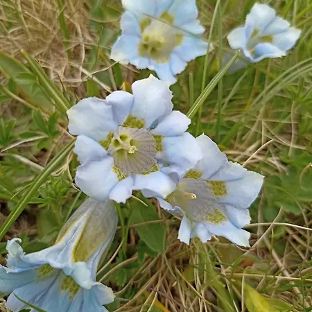 Haus Zur Muehle * Ried im Oberinntal