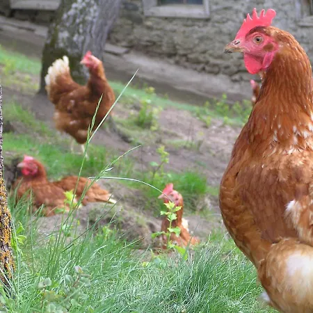 Haus Zur Muehle * Ried im Oberinntal